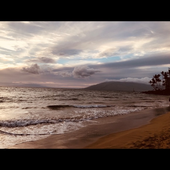 Profile Picture of Elizabeth Zanotto (@libbyzanotto) on Poshmark