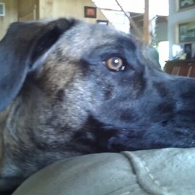 Profile Picture of Chris Pinkham (@C_Pinkster) on Twitter