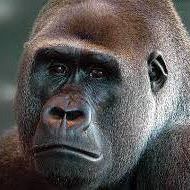 Profile Picture of Brian Mullery (@brian.mullery.3) on Facebook