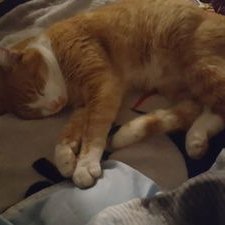 Profile Picture of Kevin Gayle Kisner (@GayleKisner) on Twitter