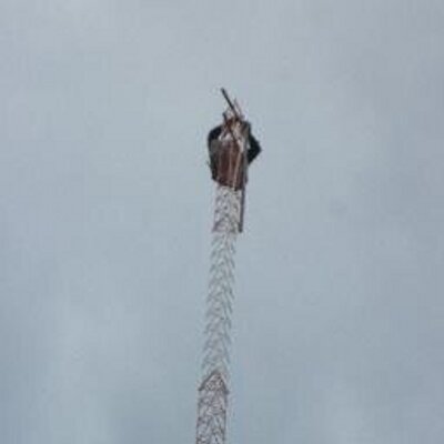 Profile Picture of Sebastian Pagano (@EpRadios) on Twitter