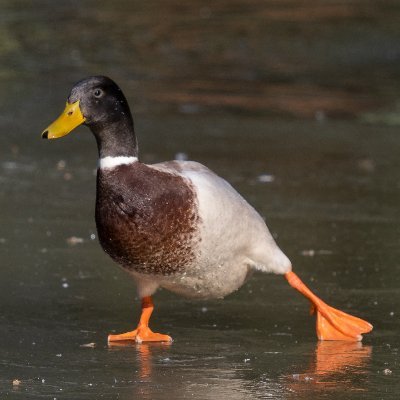 Profile Picture of Alexander Kourtis (@AlexanderKourt4) on Twitter