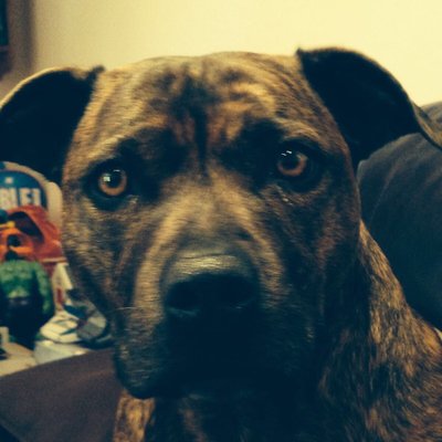 Profile Picture of Steven Booth (@Boothie_7) on Twitter