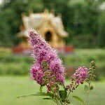 Profile Picture of trina Howells (@trinahowellsav) on Instagram