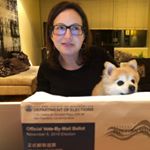 Alexandra Spiegel - Instagram Profile Picture of Alexandra Spiegel (@shepsf) on Instagram