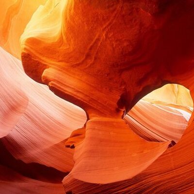 Profile Picture of Steven Sprecher (@S_P_R_O_C_K_E_T) on Twitter