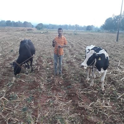 Profile Picture of Shivanna Puttegowda (@Shivann04383753) on Twitter