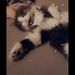 Profile Picture of Maria Adamczyk (@mariaadamczyk519) on Pinterest