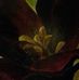 Profile Picture of Annie Schultz (@annie.schultz.3914) on Facebook