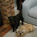 Profile Picture of Sharon Judge (@sharon.judge.7902) on Facebook