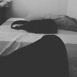 Profile Picture of alex_quan3 (@alex_quan3) on Instagram