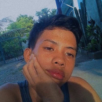 Profile Picture of Ian Vince Zamora (@IanVinceZamora1) on Twitter
