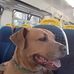 Profile Picture of Bill Clarkson (@bill.clarkson.940) on Facebook