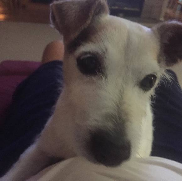 Profile Picture of Jeff Janney (@kassbingo) on Poshmark