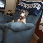 Profile Picture of Betty McGee (@betty_mcgee) on Instagram