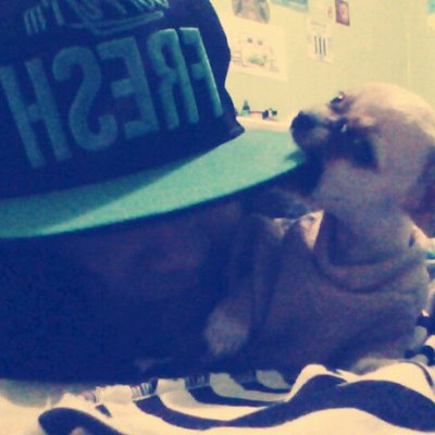 Profile Picture of Daniela UM (@daniela_1703_58) on Twitter