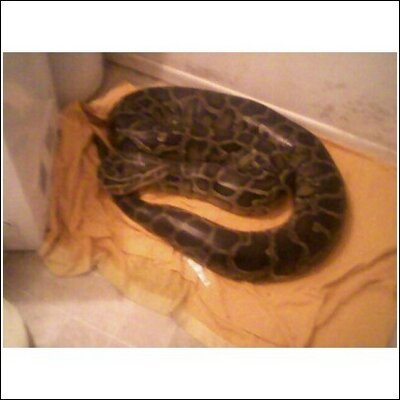 Profile Picture of Justin Salters (@zeke666) on Twitter