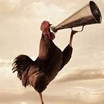 Profile Picture of Armando Espinal (@armando.espinal.754) on Instagram