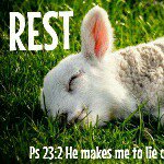 Profile Picture of Edwin Cheng (@edwin.cheng.522) on Instagram