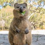 Profile Picture of tyler.klinkhof (@tyler.klinkhof) on Instagram