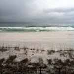 Profile Picture of Tom Tisone (@tomtisone9) on Instagram