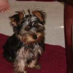 Profile Picture of Chico Courtney (@chico.courtney) on Facebook