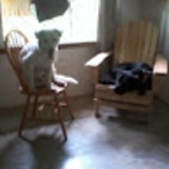 Profile Picture of Gisela Rosario ramos (@hormigabrava_xx) on Poshmark