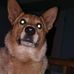 Profile Picture of Benjamin Hales (@benjamin.hales.507) on Facebook