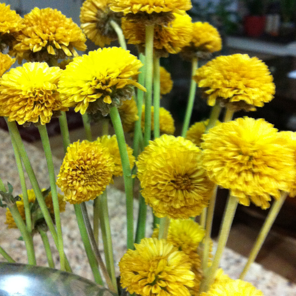 Profile Picture of Meera Paul (@macpaul) on Poshmark