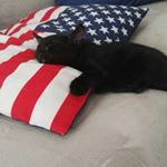 Profile Picture of Jonathan Di Marco (@jonadimarco) on Instagram