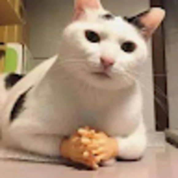 Profile Picture of Kimberly Majewski (@mymonsterstar) on Poshmark