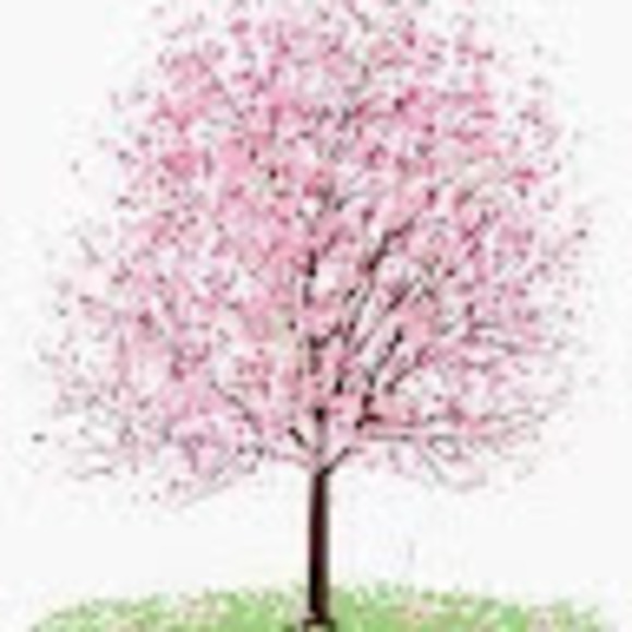 Profile Picture of Jennifer Halbrooks (@jhalbrooks) on Poshmark