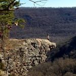 Profile Picture of Joe Caprio (@joecaprio1) on Instagram