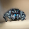 Profile Picture of Barron B (@Barron B) on Flickr