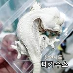 Profile Picture of 낭 만 사 도 (@nangmansado) on Instagram