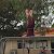 Profile Picture of thomas davison (@thomasdavison24) on Pinterest