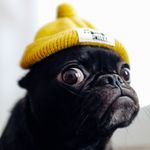 Profile Picture of Kevin Johannes Patria Rettob (@kevinrettob) on Instagram