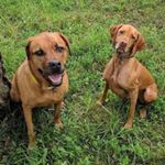 Profile Picture of Joseph Kohut (@joseph.scissorhands) on Instagram