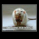 Profile Picture of CALEB GILLESPIE (@sgt_wigington) on Instagram