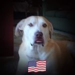 Profile Picture of Larry Perrin (@lawrence.perino.39) on Instagram