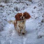 Profile Picture of John Munro (@john.munro.520562) on Instagram