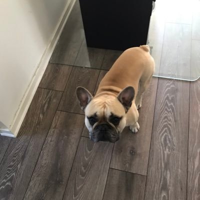 Profile Picture of Danny Kim Møller (@ller_danny) on Twitter