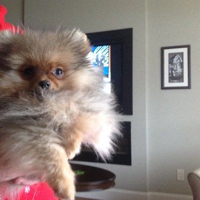 Profile Picture of Aline Arsenault (@AlineArsenault4) on Twitter