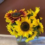 Profile Picture of Ginette Basso (@geebasso) on Instagram