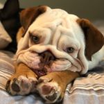 Profile Picture of Trudy (@trudy_licious_) on Instagram