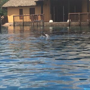 Profile Picture of Christy Paul (@christynpaul40) on Myspace