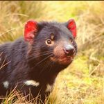 Profile Picture of Alejandro Jacinto (@alejandro.jacinto.9026) on Instagram