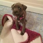 Profile Picture of Kathryn Jarvis Gray (@kathrynjarvisgray) on Instagram