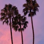 Profile Picture of Roger Chacon (@rogeliochacon13) on Instagram