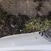 Profile Picture of Kevin Durocher (@851k0936) on Pinterest